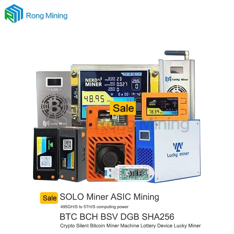 นักขุดเดี่ยว ASIC
